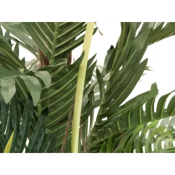 EUROPALMS Kentia-palm kunstplant 180 cm 82511367