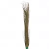 EUROPALMS kunstmatig rietgras, kaki, 127 cm 82505853