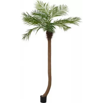 EUROPALMS Luxor gebogen kunstmatige phoenixpalm, 240 cm 82510726