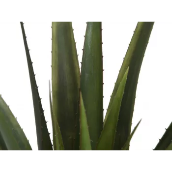 EUROPALMS kunstmatige aloë vera plant, 60 cm, zwarte pot 82600167