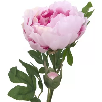 EUROPALMS Peony Branch Classic, kunstplant, roze, 80cm 82530210