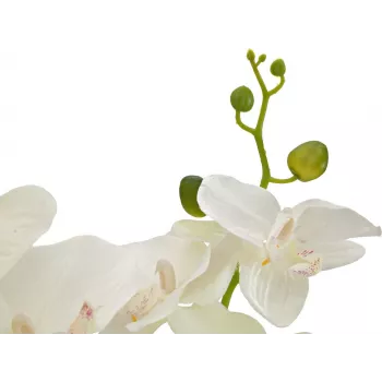 EUROPALMS orchidee kunstplant, crème, 80cm 82530361