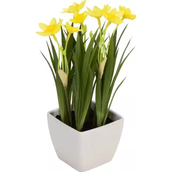 EUROPALMS kunstnarcis, 23 cm 82530542