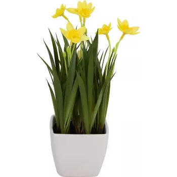 EUROPALMS kunstnarcis, 23 cm 82530542