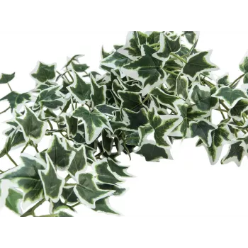 EUROPALMS Holland Ivy Bush Screen Classic, kunstmatig, 70cm 82502211