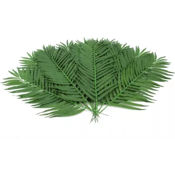 EUROPALMS kunstmatige kokospalmbladeren, 90 cm, 12 stuks, groen 82509896