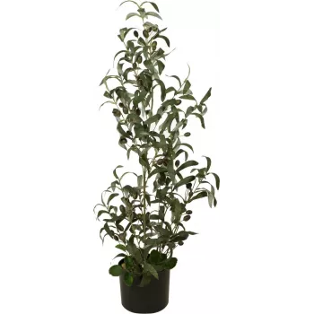 EUROPALMS kunstolijfboom, 90 cm 82506422