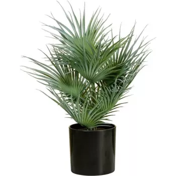 EUROPALMS kunstmatige waaierpalm in pot, 55 cm 82509401