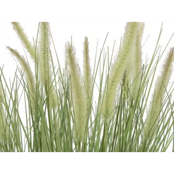 EUROPALMS bloeiend kunstmatig siergras, 70cm, witte bloemen, zwarte pot 82600147