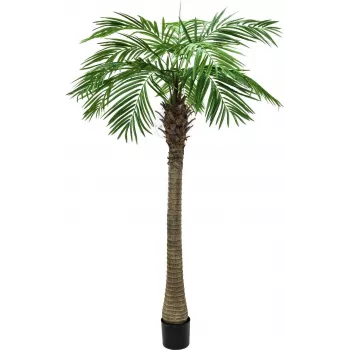 EUROPALMS Luxor kunstmatige phoenixpalm, 150 cm, groen 82510720