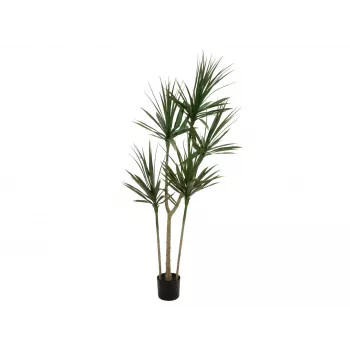 EUROPALMS Dracena kunstplant, groen, 170 cm 82505799