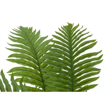 EUROPALMS Cycas palm kunstplant, 70 cm 82509604
