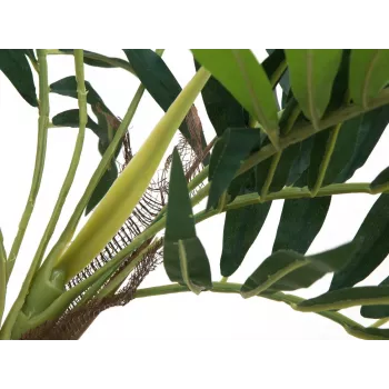 EUROPALMS kunstplant palm, 150cm 82509495