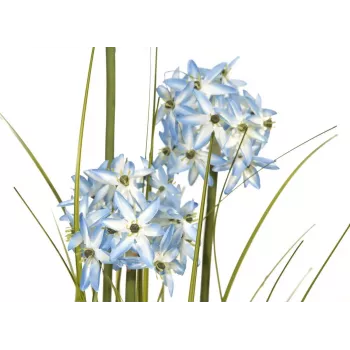 EUROPALMS Allium Gras Kunstplant, blauw, 120 cm 82600168