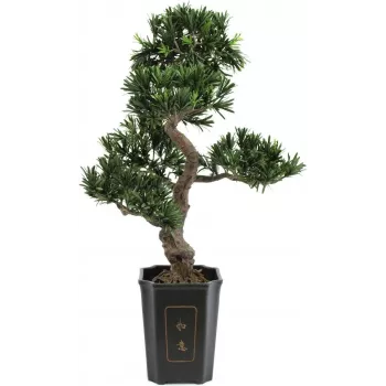 EUROPALMS bonsai Podocarpus kunstplant, 80 cm 82600116