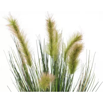 EUROPALMS kunstmatig moerasgras in decoratieve pot, 60cm 82505862