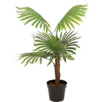 EUROPALMS waaierpalm kunstplant, 88cm, groen, zwarte pot 82509301