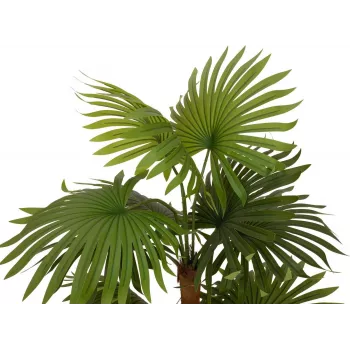 EUROPALMS waaierpalm kunstplant 130cm 82509302