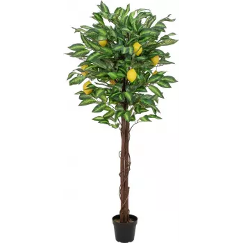 EUROPALMS kunstmatige citroenboom, 150cm 82507815