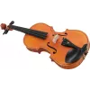 DIMAVERY Viool middenklasse 4/4 (26400520)
