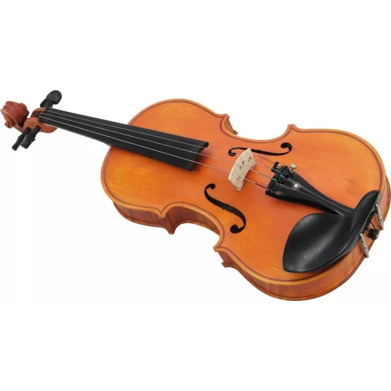 DIMAVERY Viool middenklasse 4/4 (26400520)