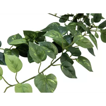 EUROPALMS Pothos haag Classic, kunstmatig, 70 cm (82502201)