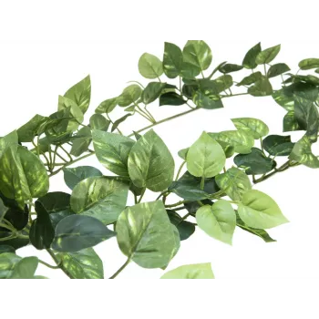 EUROPALMS Pothos slinger Classic, kunstmatig, 180 cm 82503728