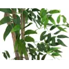 EUROPALMS Ficus Longifolia kunstplant, 165 cm 82506350
