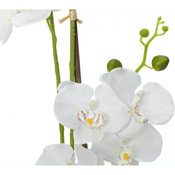 EUROPALMS Orchidee kunstplant, wit, 80 cm (82530362)