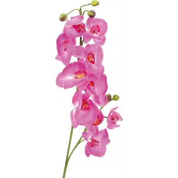 EUROPALMS Kunstmatige orchideetak, paars, 100 cm 82530322