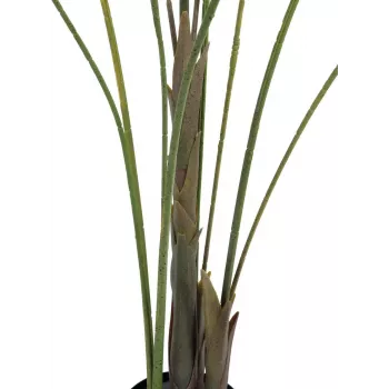 EUROPALMS grootbladige areca kunst arecapalm, 185cm (82509442)