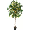 EUROPALMS Bougainvillea kunstplant, geel, 180 cm 82507081