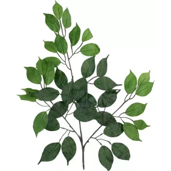 EUROPALMS kunst-ficus-benjaminatak, verpakking van 12 82506101