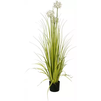 EUROPALMS alliumgras kunstplant, wit, 120 cm 82600169