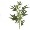 EUROPALMS kunstmatige hennepstengel, 90cm, groen 82506699