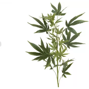 EUROPALMS kunstmatige hennepstengel, 90cm, groen 82506699