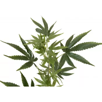 EUROPALMS kunstmatige hennepstengel, 90cm, groen 82506699