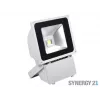 SYNERGY21 S21-LED-TOM01157 LED-buitenobjectschijnwerper 80W grijze behuizing koelwit V3