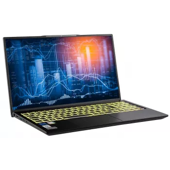 Captiva Notebook Power Starter I99-003GE, 17,3 inch, Intel Core i5-1335U, 32GB RAM, 500GB SSD, Intel Iris Xe Graphics, Windows 11 Pro