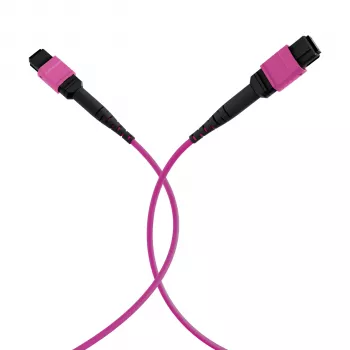 EFB Elektronik MPO-PLUS(F)-MPO-PLUS(F) OM4 12-faser type B LSZH patchkabel, erika-violet, 20 m MPOF12MPOFOM4-20