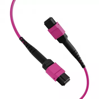 EFB Elektronik MPO-PLUS(F)-MPO-PLUS(F) OM4 12-faser type B LSZH patchkabel, erika-violet, 20 m MPOF12MPOFOM4-20