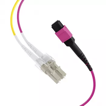 EFB Elektronik MPO-PLUS (F) naar LC trunk-kabel, OM4, 12 vezels, type B, LSZH, erika violet, 1m MPOF12LCOM4-1