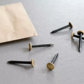 TOX Home Classic schilderijspijkers 20 stuks messing gecoat staal 25mm 063600101