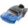 Reely RE-6622353 carrosserie en rolkooi voor Rhino 2WD 1:10 RC buggy