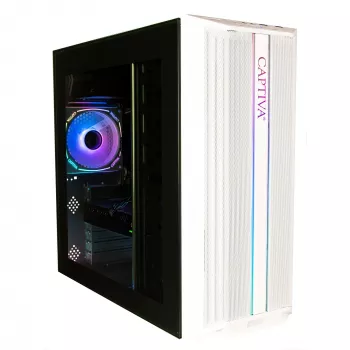 Captiva pc Business/Office R10-3536 (Ryzen 5 3400G, 64GB RAM, 1TB SSD, WLAN, zonder besturingssysteem)