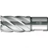 BDS HSS Kernboor Standaard 17,0 mm snijdiepte 30 mm Weldon-schacht (KBK-017)