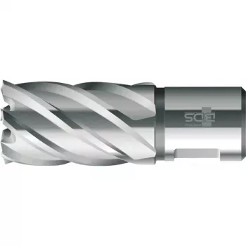 BDS HSS Kernboor Standaard 17,0 mm snijdiepte 30 mm Weldon-schacht (KBK-017)