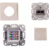 IT-BUDGET Cat.6A afgeschermde inbouw netwerkdoos, 2 x RJ45, zuiverwit, PoE+ 90ITBDDRW