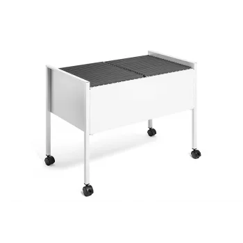 DURABLE hangmapwagen ECONOMY DUO 100 A4, lichtgrijs 308210