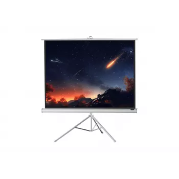 celexon Economy statiefprojectiescherm 133 x 133 cm White Edition